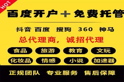 百度竞价与搜索引擎优化（SEO）结合的经典案例